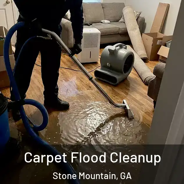  Carpet Flood Cleanup Stone Mountain, GA