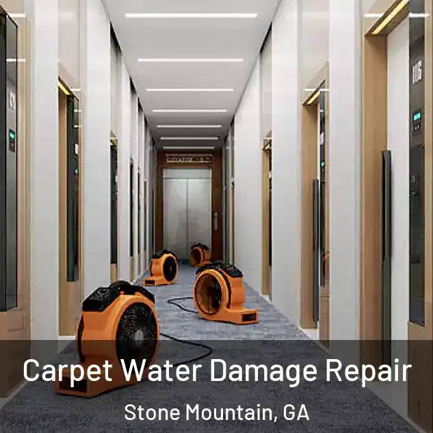  Carpet Water Damage Repair Stone Mountain, GA