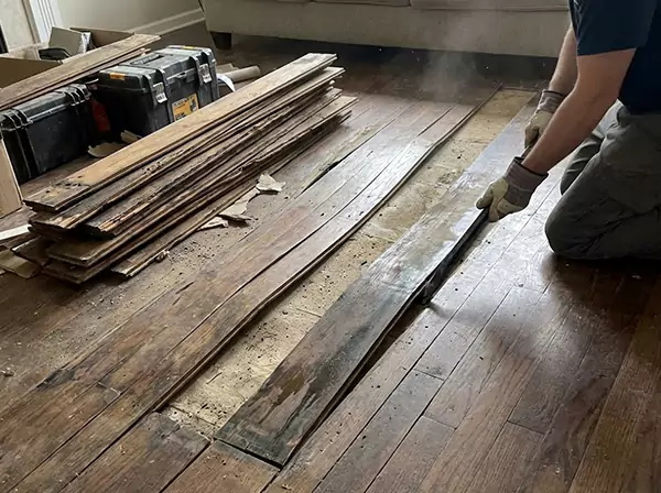 Water Damage Drying in Stone Mountain
