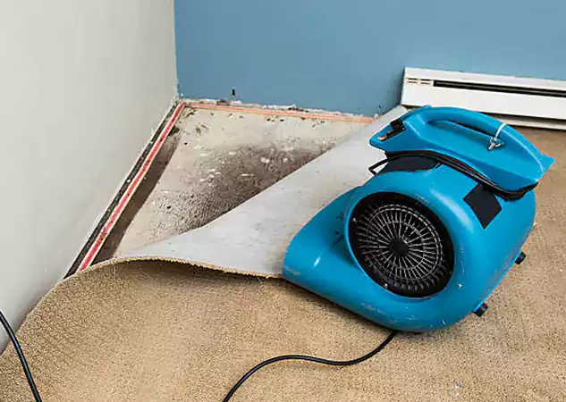 Your Water Damage Experts in Stone Mountain, GA