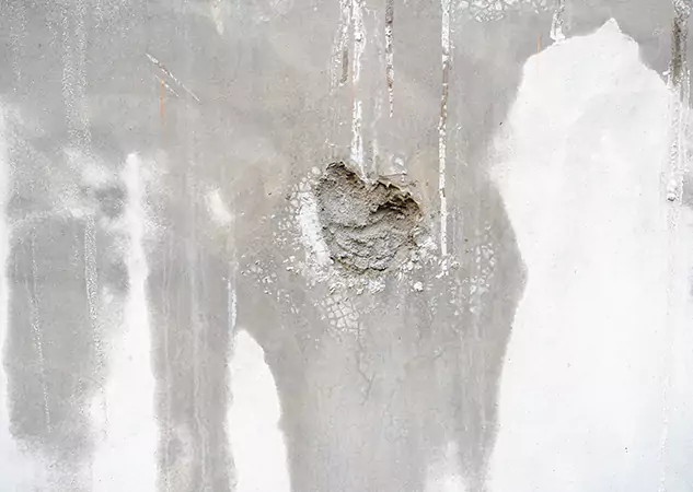 Your Mold Mitigation Solutions Partner in Stone Mountain, GA