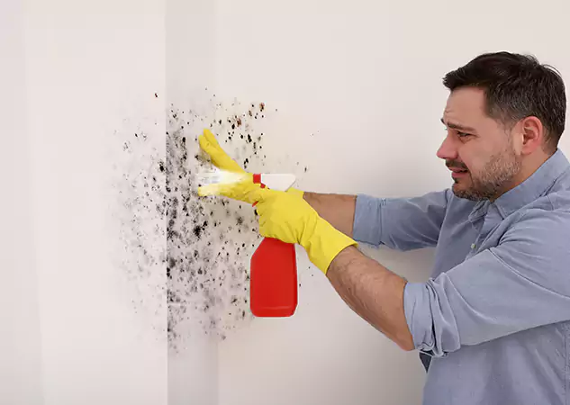 Your Water Mold Fire Restoration Partner in Stone Mountain, GA