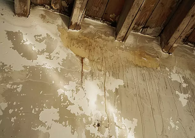 Your Trusted Restoration Company in Stone Mountain, GA