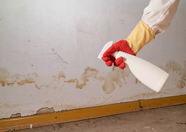 Your Water Restoration and Mold Remediation Specialists in Stone Mountain, GA
