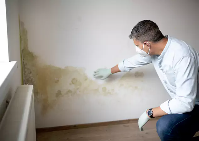 Reach Our Remediation Team Before Damage Grows in Stone Mountain, GA!