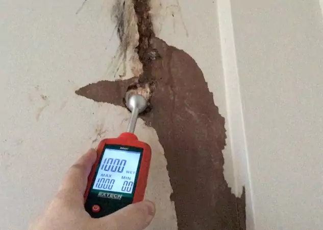 Your Water Damage Assessment Partner in Stone Mountain, GA