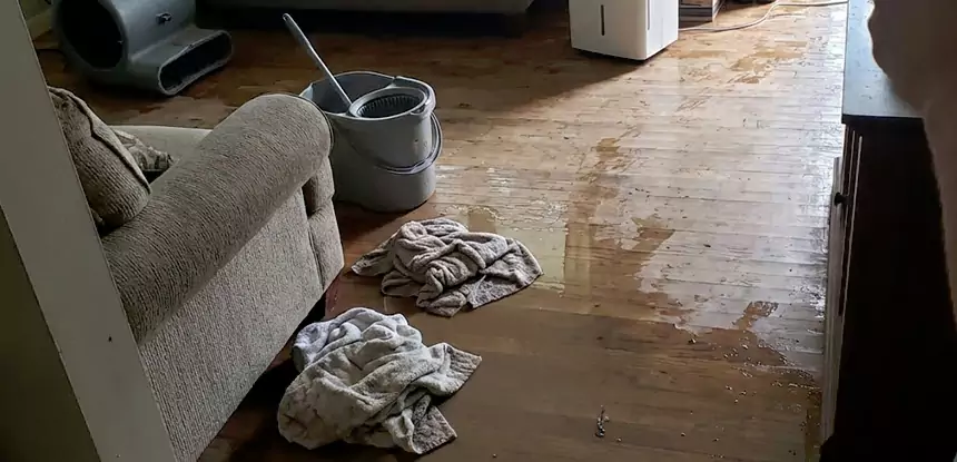 Professional Basement Water Remediation Services in Stone Mountain, GA