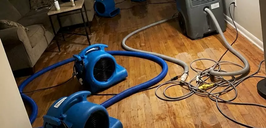 Basement Flood Restoration Services in Stone Mountain
