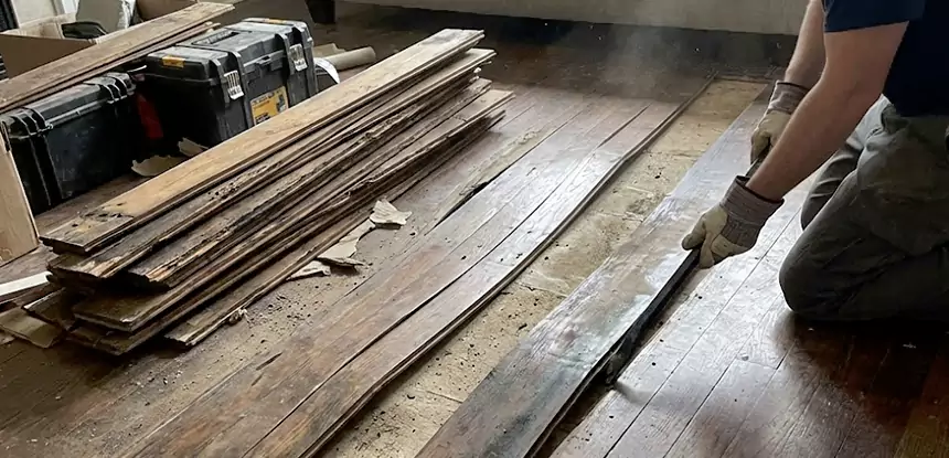 Wood Rot and Fungus Repair in Stone Mountain