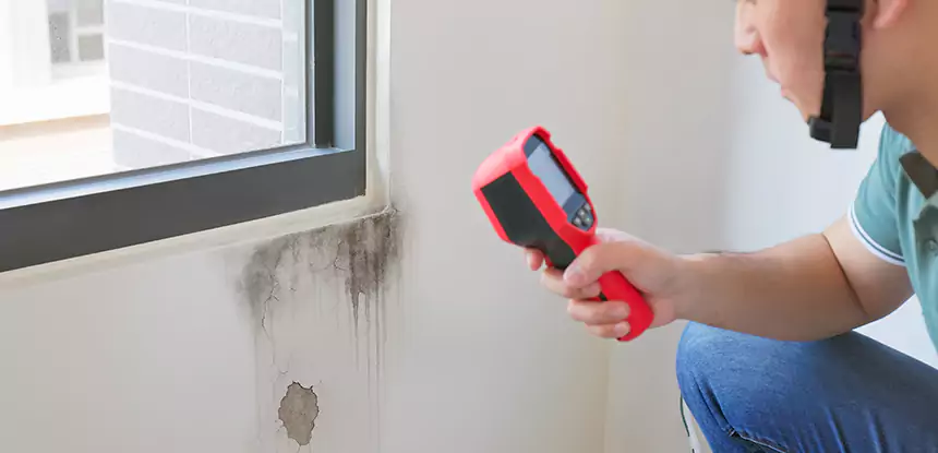 Wall Texture Repair After Mold in Stone Mountain