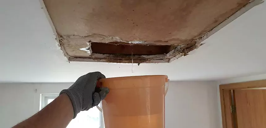Ceiling Mold Repair Stone Mountain