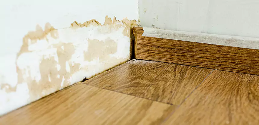 Professional Fix Water Damaged Wood Services in Stone Mountain, GA