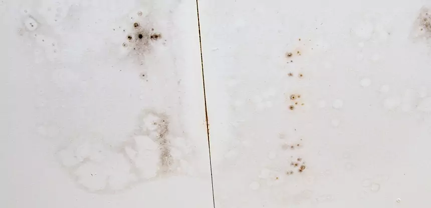 Professional Water Stain Repair Services in Stone Mountain, GA