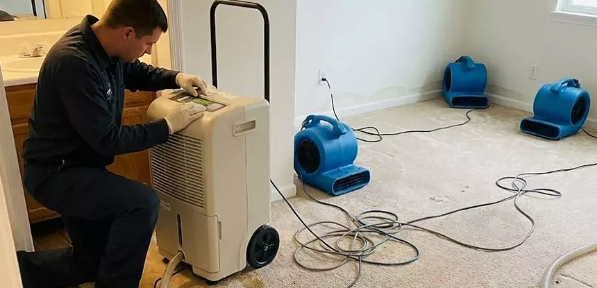 Professional Wet Carpet Removal Services in Stone Mountain, GA
