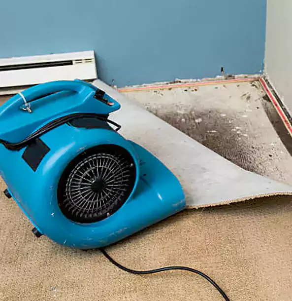 Why Stone Mountain Trusts Stone Mountain Restoration Pro for Carpet Flood Recovery?