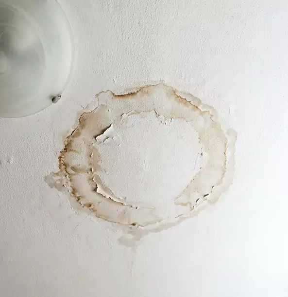 Why Stone Mountain Property Owners Choose Stone Mountain Restoration Pro for Ceiling Water Damage Restoration?