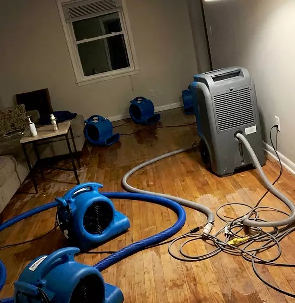 Why Stone Mountain Calls Stone Mountain Restoration Pro First for Emergency Restoration?