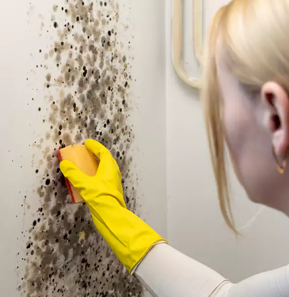 Why Stone Mountain Restoration Pro Leads Mold Remediation in Stone Mountain?