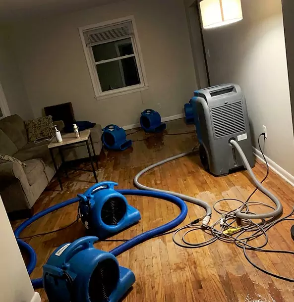 Why Stone Mountain Property Owners Rely on Stone Mountain Restoration Pro for Remediation?