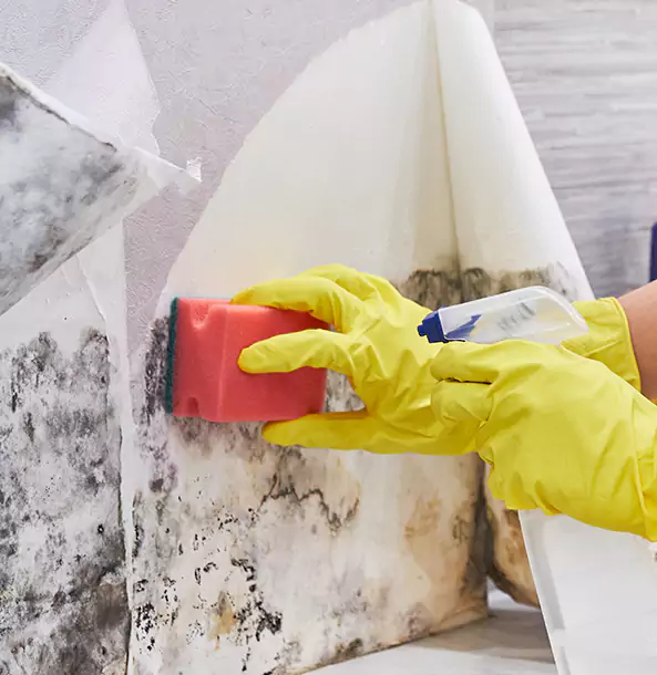 Why Stone Mountain Trusts Stone Mountain Restoration Pro for Mold and Water Restoration?