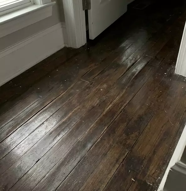 Why Stone Mountain Homeowners Trust Stone Mountain Restoration Pro to Fix Water Damaged Wood?