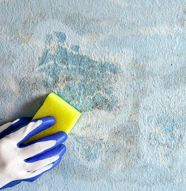 Why Stone Mountain Restoration Pro Is the Right Choice in Stone Mountain, GA?