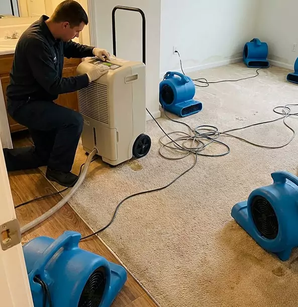 Why Stone Mountain Homeowners and Businesses Trust Stone Mountain Restoration Pro for Carpet Drying?
