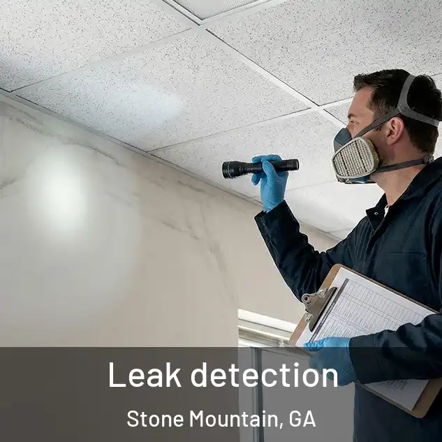 Leak detection Stone Mountain, GA