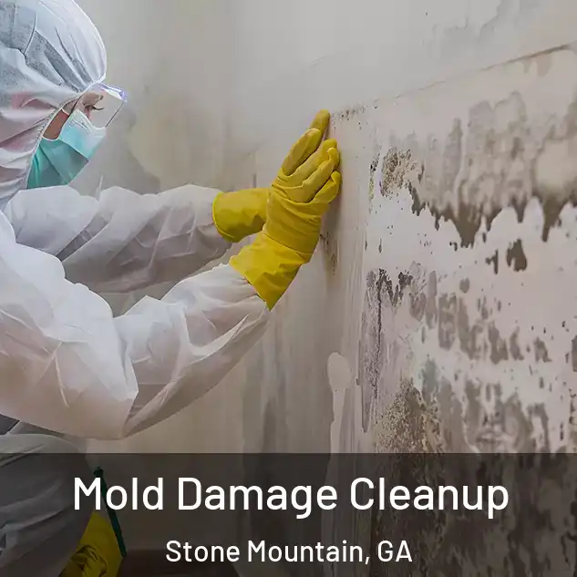  Mold Damage Cleanup Stone Mountain, GA
