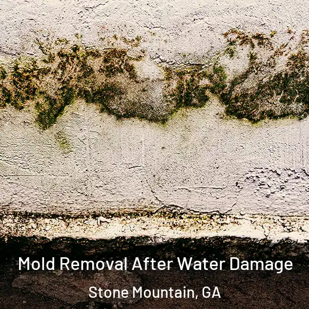  Mold Removal After Water Damage Stone Mountain, GA