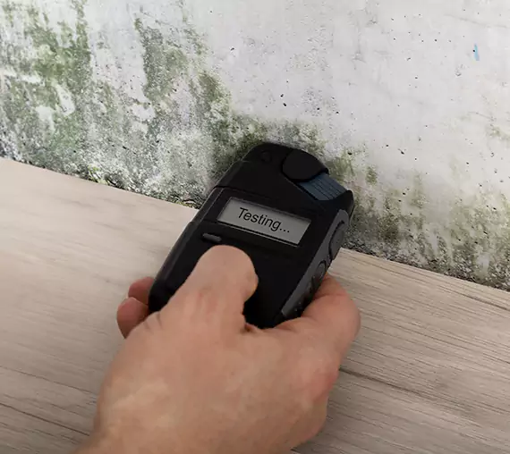 Mold Remediation Service Stone Mountain