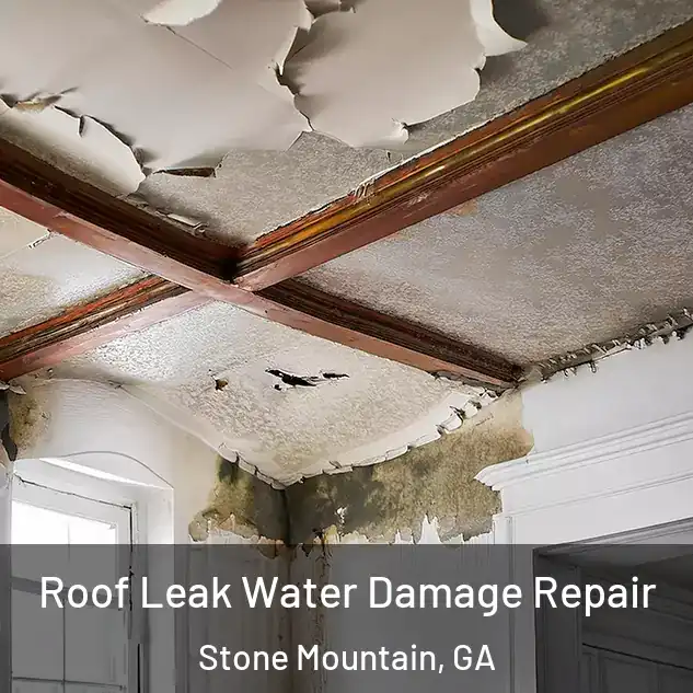  Roof Leak Water Damage Repair Stone Mountain, GA