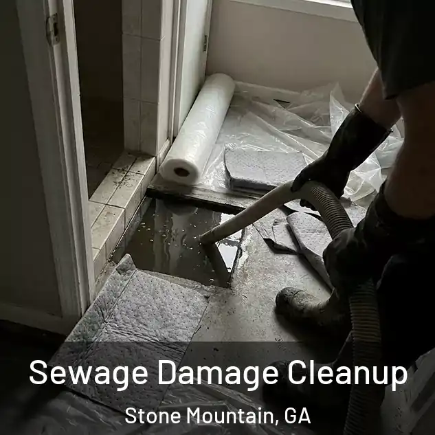  Sewage Damage Cleanup Stone Mountain, GA