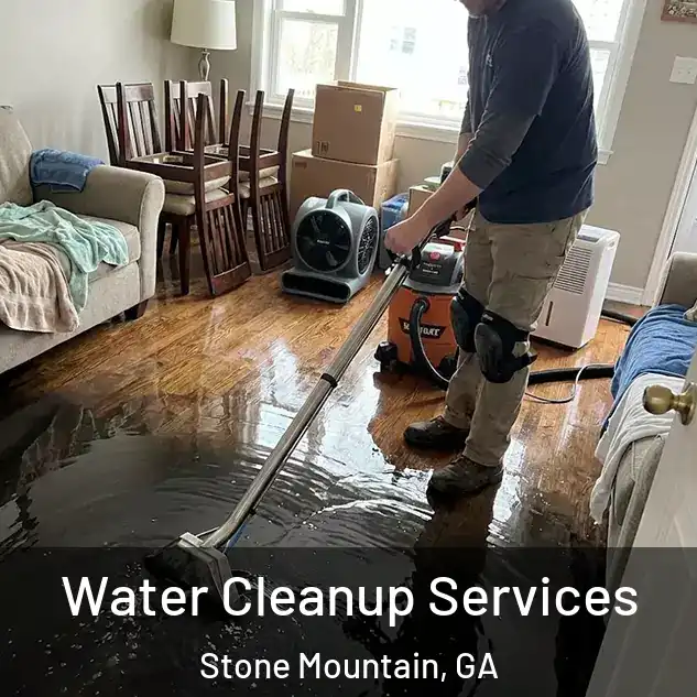  Water Cleanup Services Stone Mountain, GA