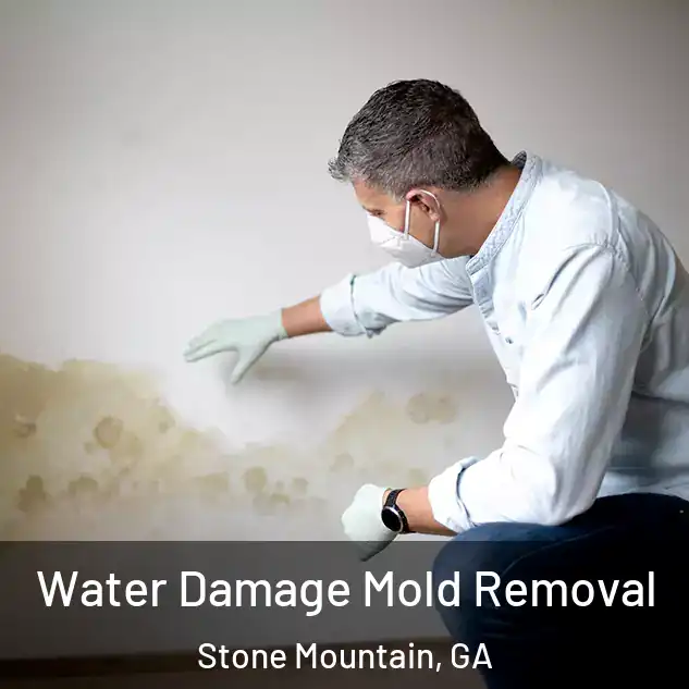  Water Damage Mold Removal Stone Mountain, GA