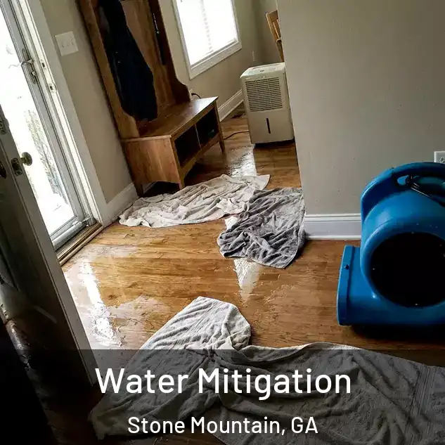  Water Mitigation Stone Mountain, GA