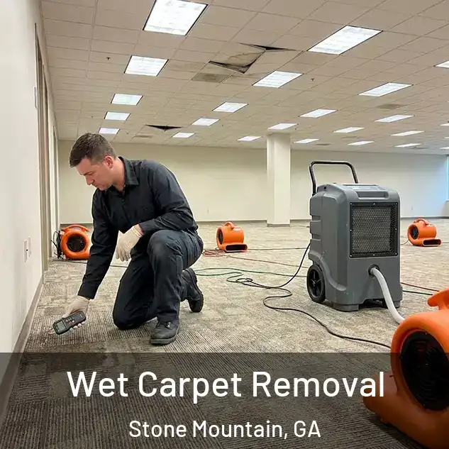  Wet Carpet Removal Stone Mountain, GA